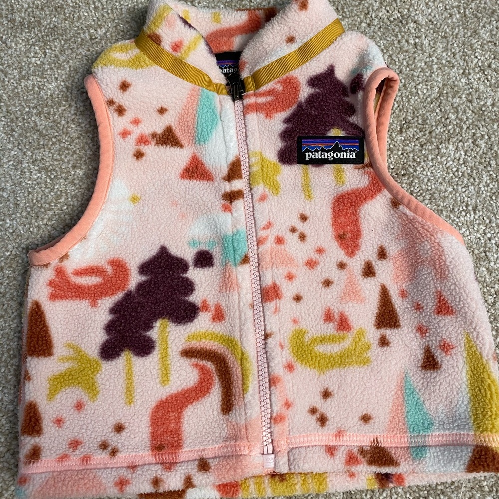 Patagonia fleece vest